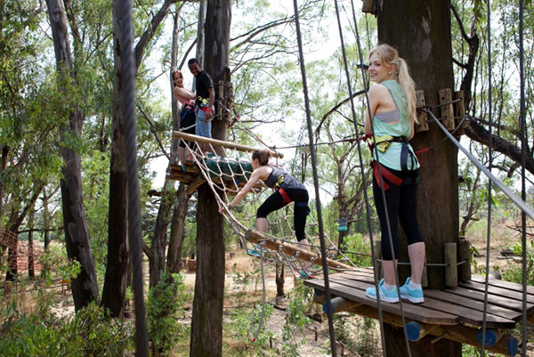 Go on a treetop adventure at Acrobranch Melrose
