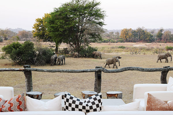 See the big 5 at MalaMala Game Reserve