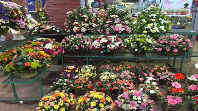 Discover Flower Power at the Multiflore Flower Market