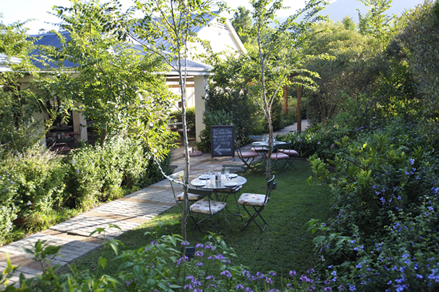 Book a table for you and your pet at River Cafe Sandton