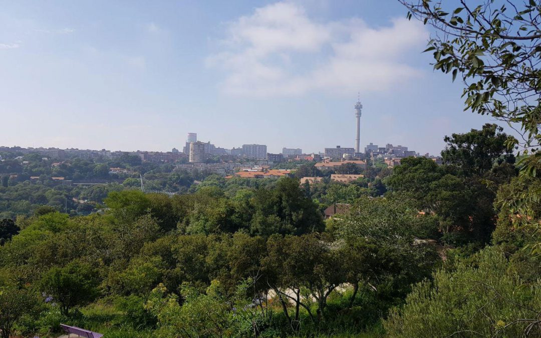 See city skyline at The Wilds Nature Reserve