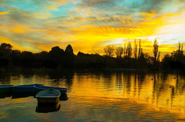 Row, row row your boat at Zoo Lake